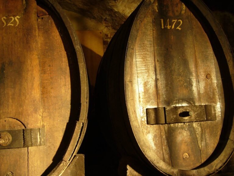 Le plus vieux vin du monde est strasbourgeois