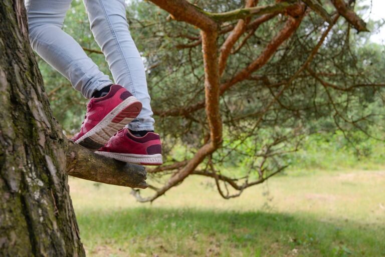 Du sport pour vos enfants !