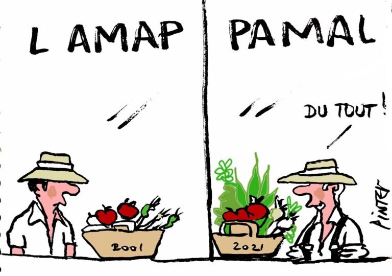 « Visite d’une AMAP : venez découvrir ses valeurs et son fonctionnement ! »