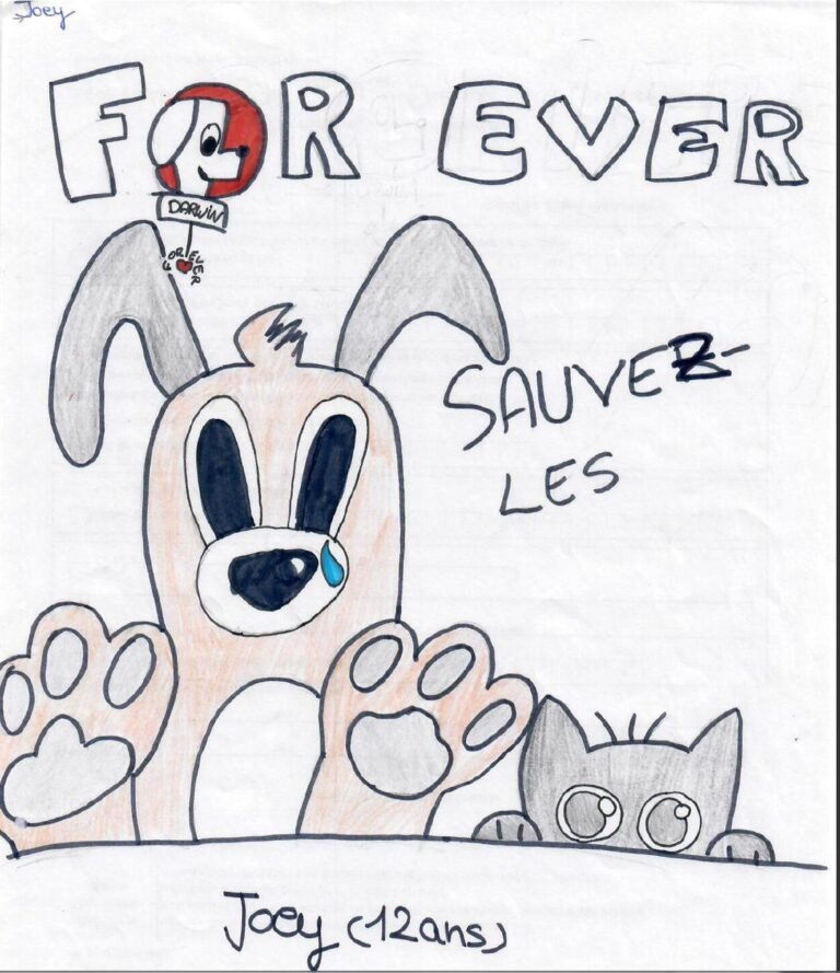 Un concours de dessin pour aider les animaux !