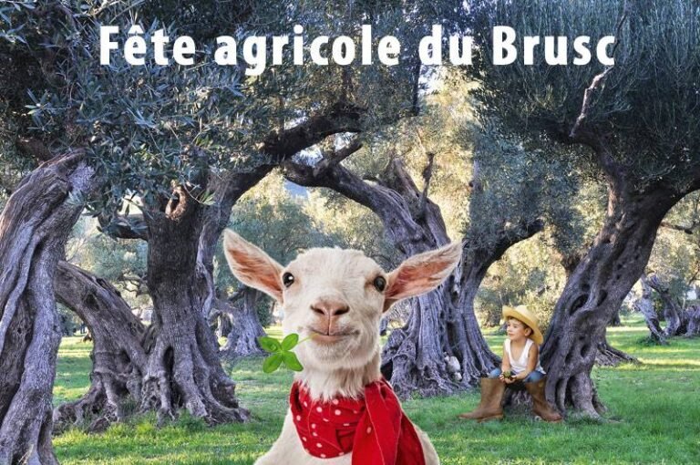 Fête agricole du Brusc
