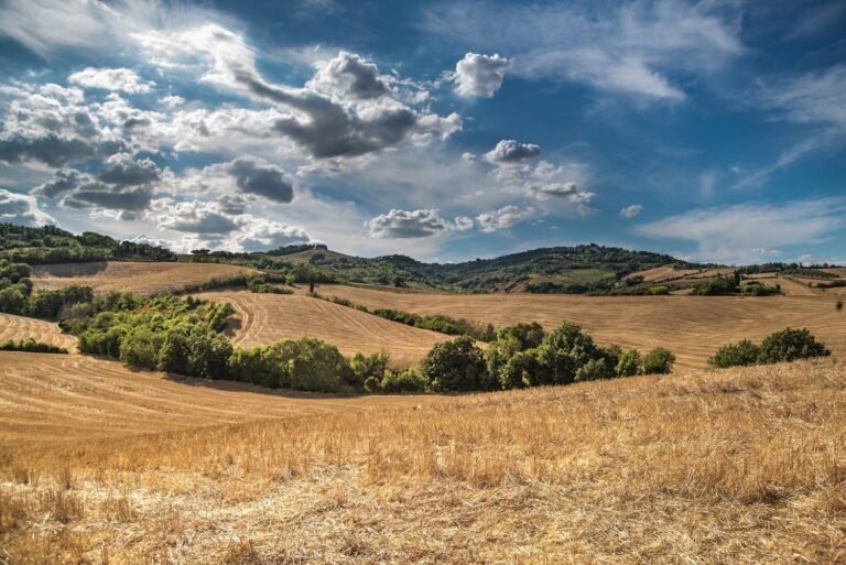 Une aide pour les saisonniers agricoles