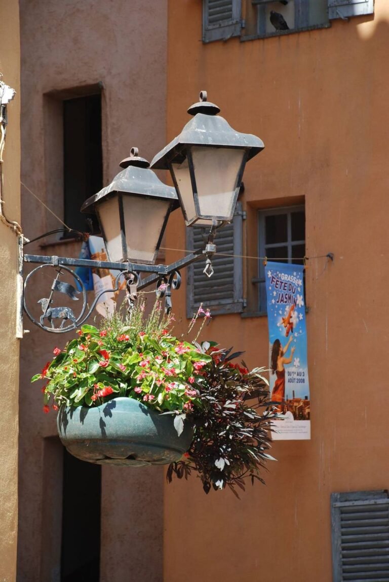 Fabulo-Plantes
