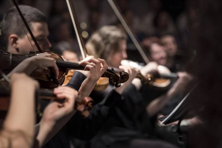 Dusika Youth Orchestra