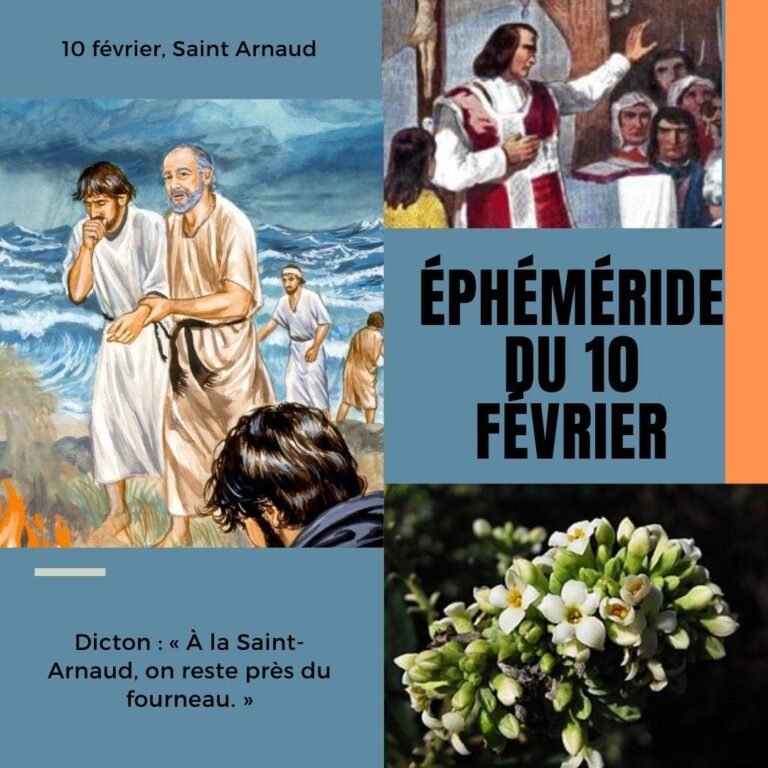 10 février, Saint Arnaud.