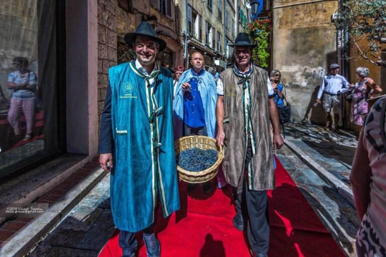 Venez Célébrer les Vendanges Libres à Grasse,
