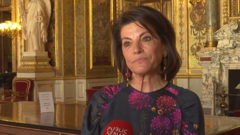 Dominique Estrosi-Sassone, Présidente de la Commission des Affaires Économique