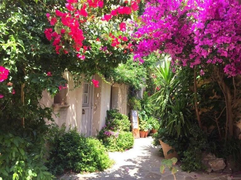 AU CŒUR DE RAMATUELLE