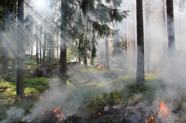 lutte contre les incendies,