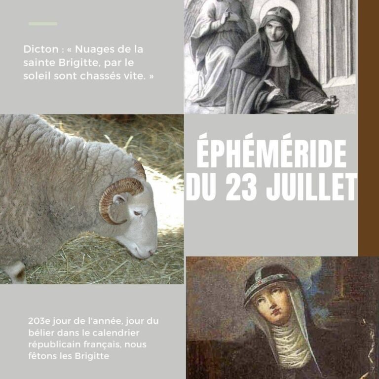 23 juillet, Sainte Brigitte