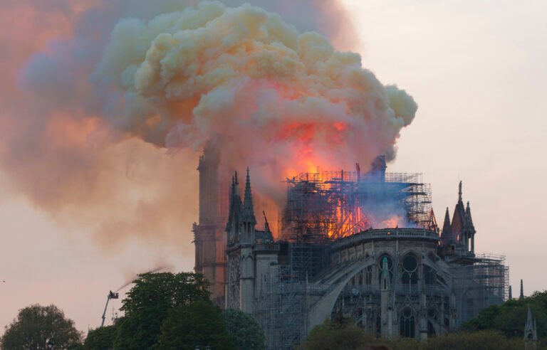 Notre-Dame renaît de ses cendres, Une entreprise maralpine mise à l’honneur !