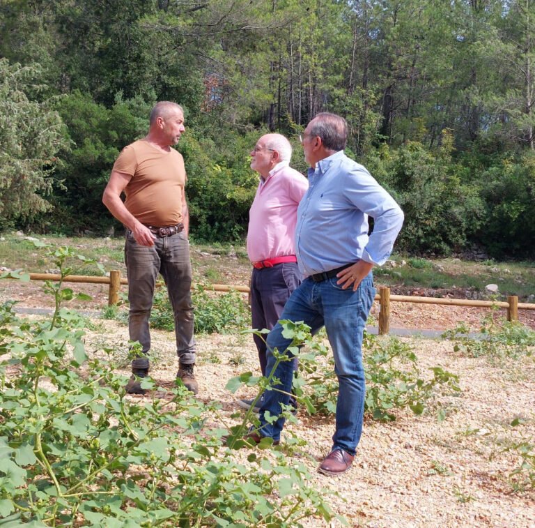 Notre rétrospective : 25 septembre 2024, Le Tignet : Végétalisation des Espaces pour les Enfants