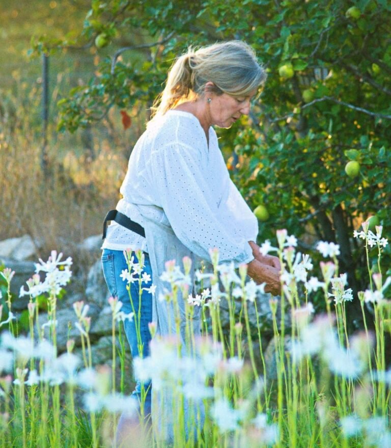 La mémoire vivante des fleurs de Grasse