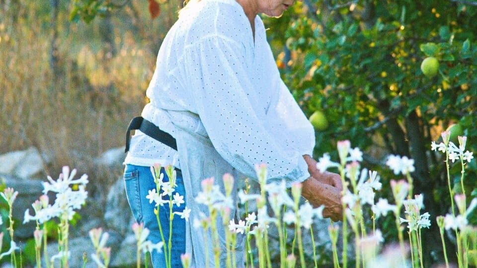 Carole Biancalana : la mémoire vivante des fleurs de Grasse