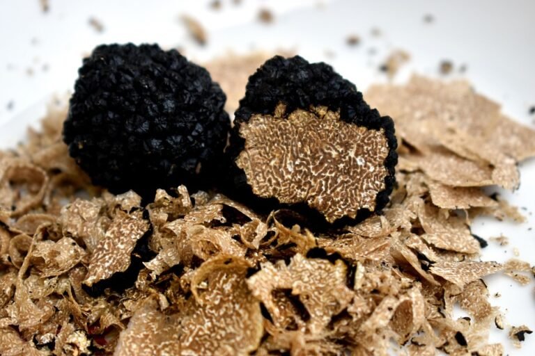 Fin de saison pour la truffe noire dans les Alpes-Maritimes