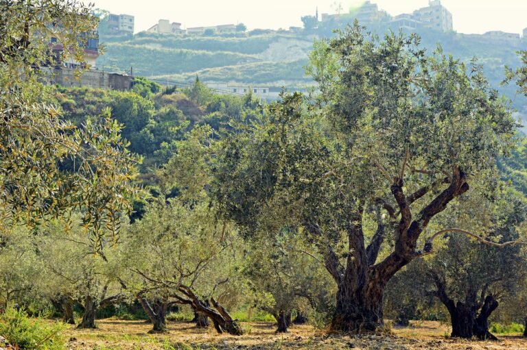 🌿 Les « Rendez-vous Nature » reviennent dans le Pays de Grasse 🌱🐝