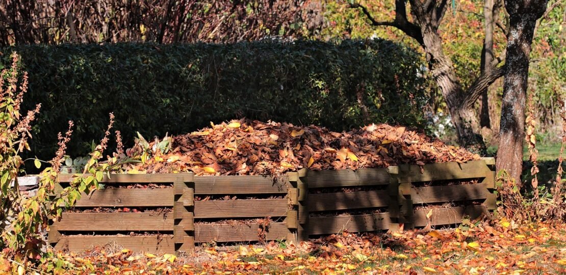 autumn-3755125_1280