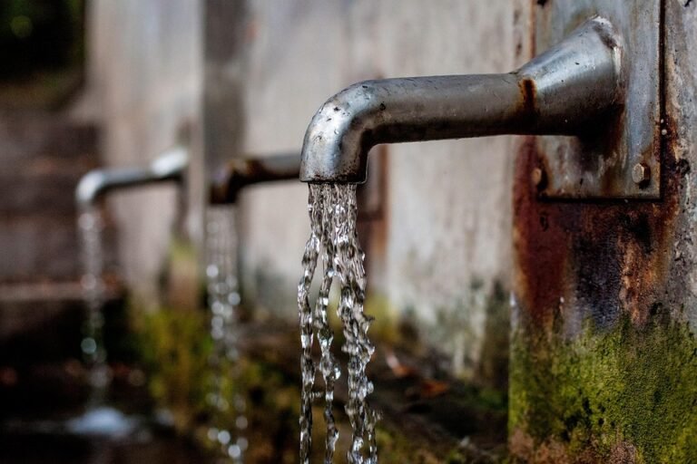💧 La Fête de l&rsquo;Eau : Une Journée Incontournable