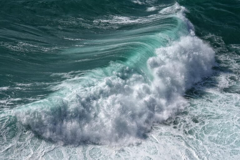 22 Mars – Fresques de l’Eau pour la Journée Mondiale de l’Eau