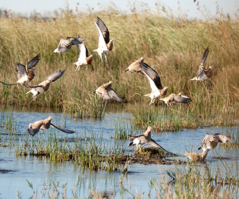 50 ans de nature en partage :