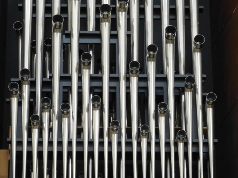 Grasse vibre au son de ses jeunes organistes du « Jour de l’Orgue » !