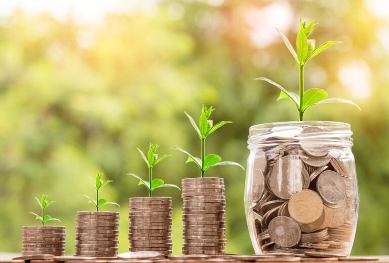 🌱 Relancer nos villages : l’Économie Solidaire donne un coup de pouce aux commerces de proximité !