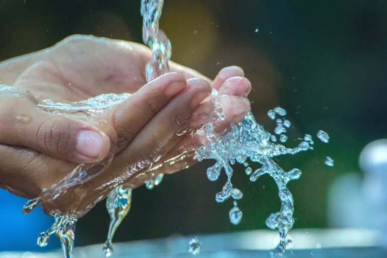 💧 Grasse célèbre l’eau avec « BULL »