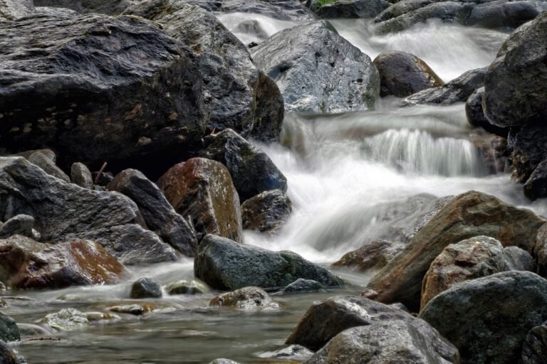 Qualité Rivière » pour redécouvrir nos cours d’eau en Provence-Alpes-Côte d’Azur