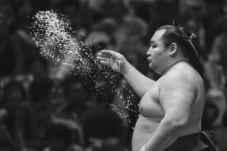 Sumō – L’équilibre absolu, le Japon entre force, tradition et poésie s’invite à Nice