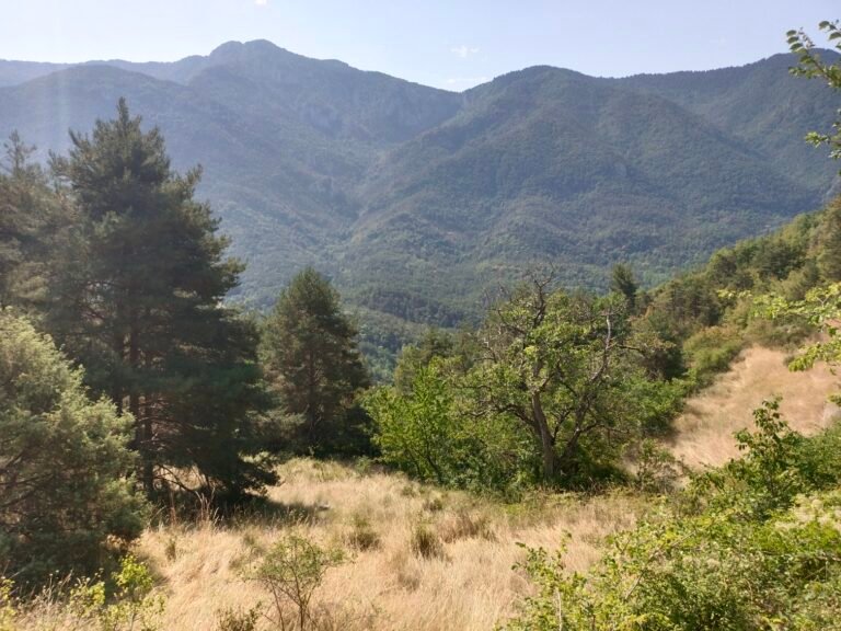 Montagne de Charamel