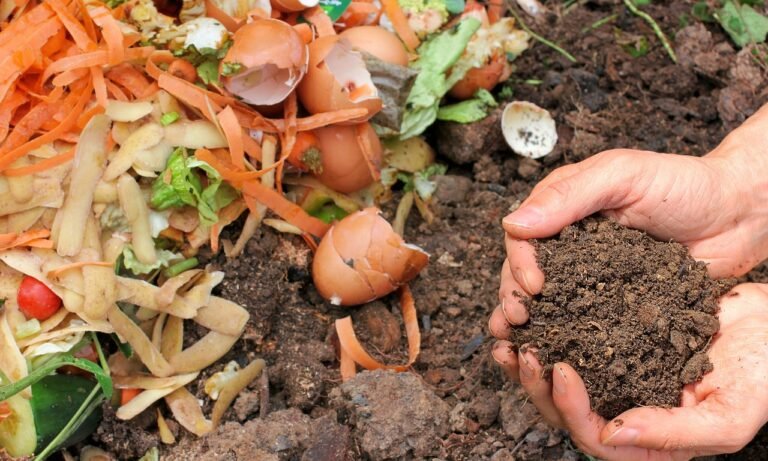 UNIVALOM : un triple engagement pour un territoire exemplaire