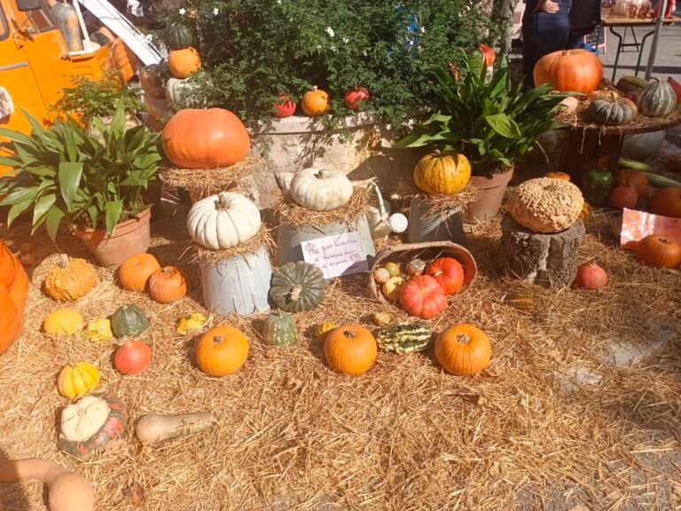 Châteauneuf-Grasse passe à l’orange pour la 21ᵉ Fête de la Courge !