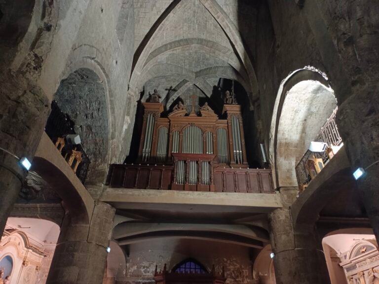 Pour que vive l’orgue de la Cathédrale de Grasse