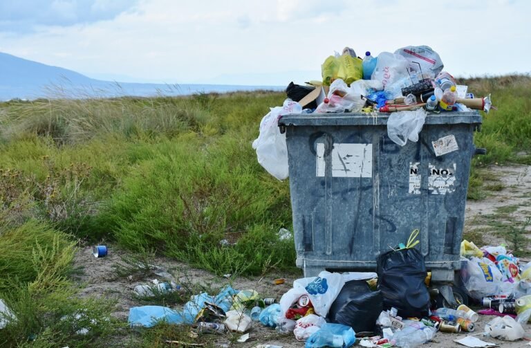 UNIVALOM mobilise le territoire avec une édition 2025 riche, utile et engagée