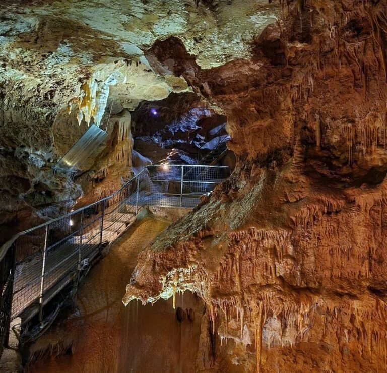 La grotte de Baume Obscure rouvre le 7 février