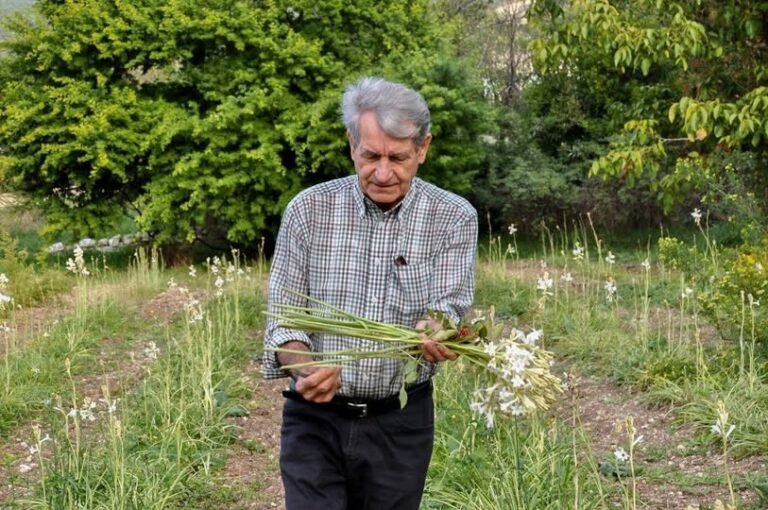 Le Coteau Constant VIALE, Grasse honore un berger des fleurs