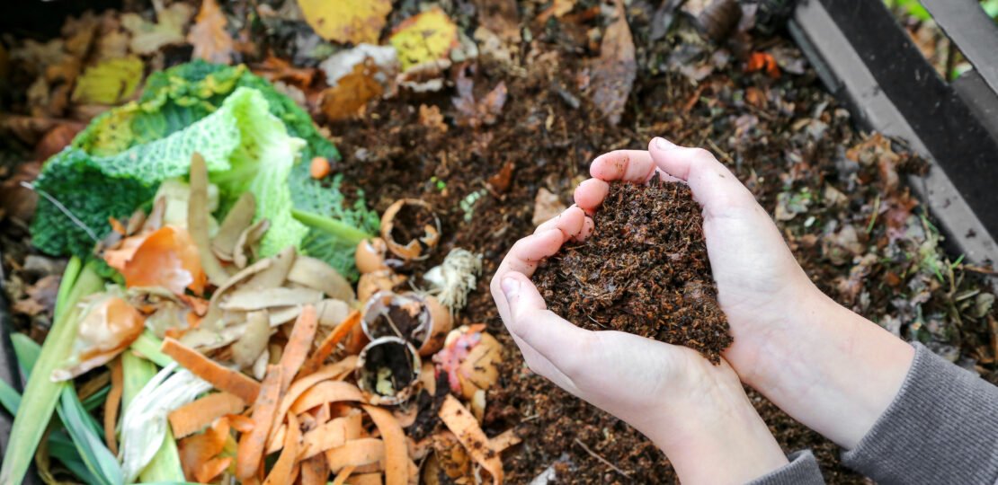 mains tenant du compost  au dessus du composteur avec déchets o