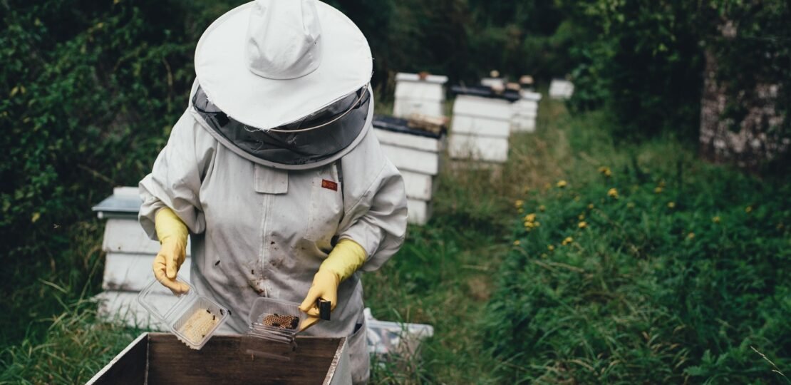 pexels-apiary-1866740_1920
