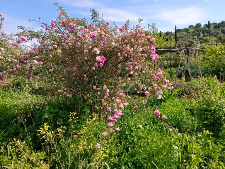 Une parenthèse de fraîcheur, de nature et de parfums