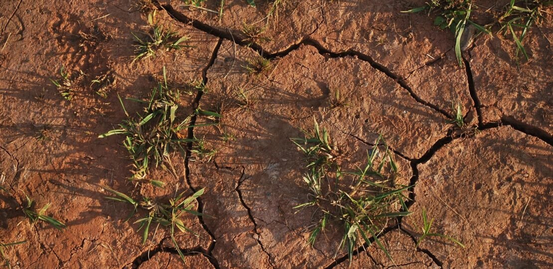 publicdomainpictures-soil-15540_1920
