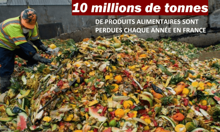Ce que nous jetons chaque semaine sans même nous en rendre compte…