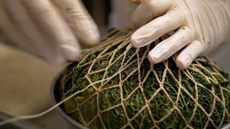Une rencontre pour redécouvrir l’histoire alimentaire du Pays de Grasse
