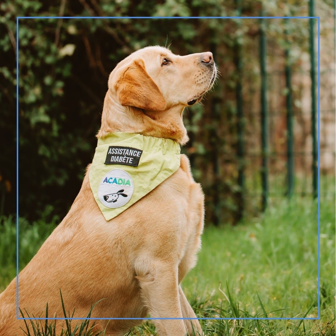 featured