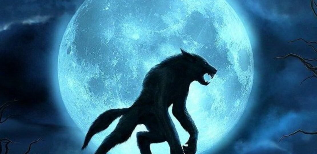 loups-garous-wallpaper-10