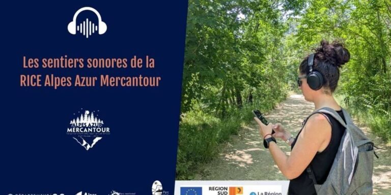 Pour écouter la nuit et redécouvrir le ciel étoilé
